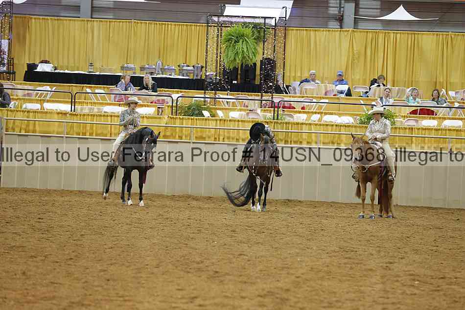 Proof 14usn_09368