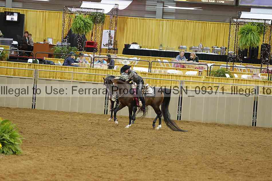 Proof 14usn_09371