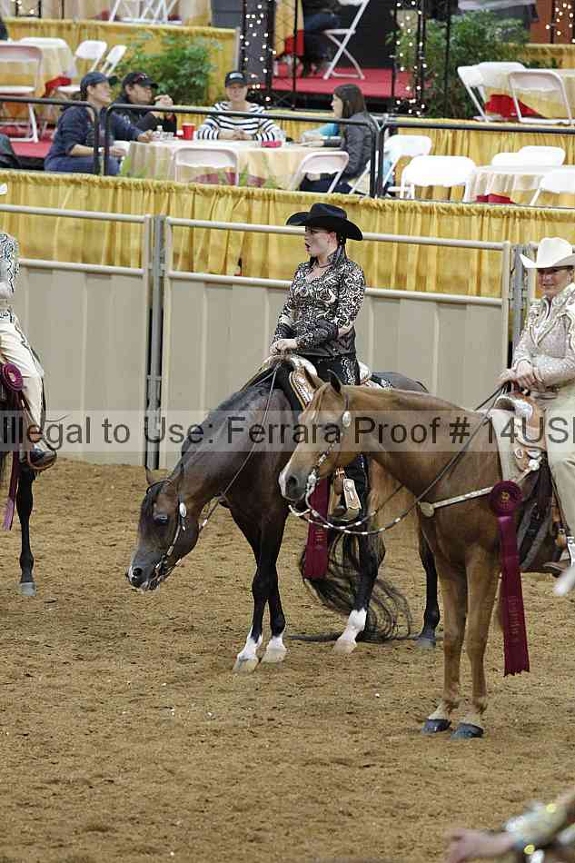 Proof 14usn_09372