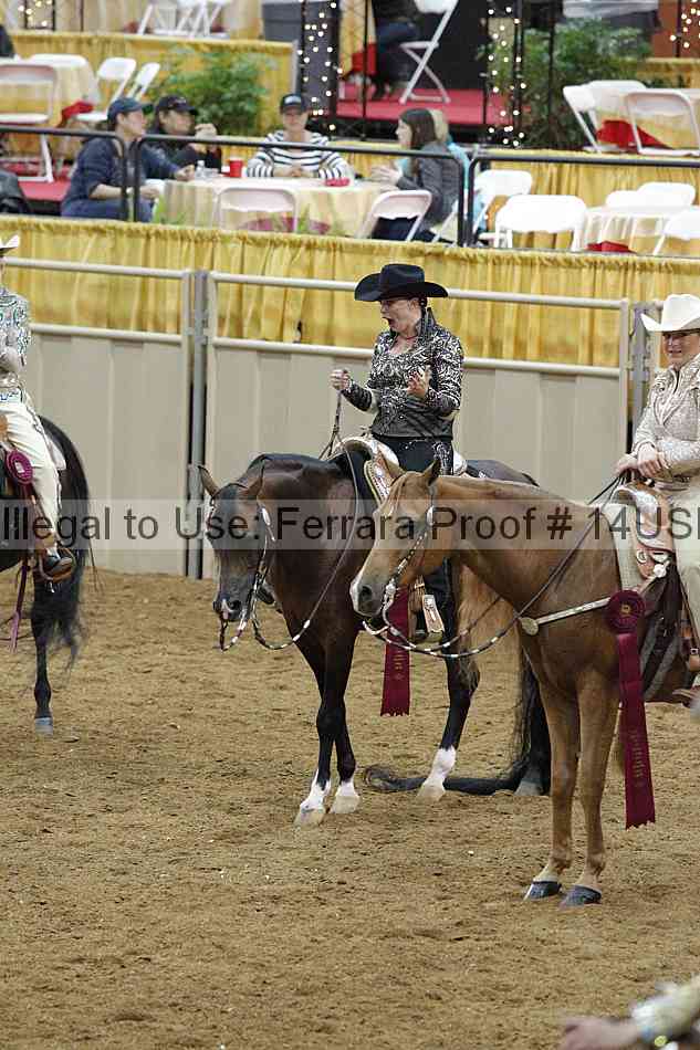 Proof 14usn_09373
