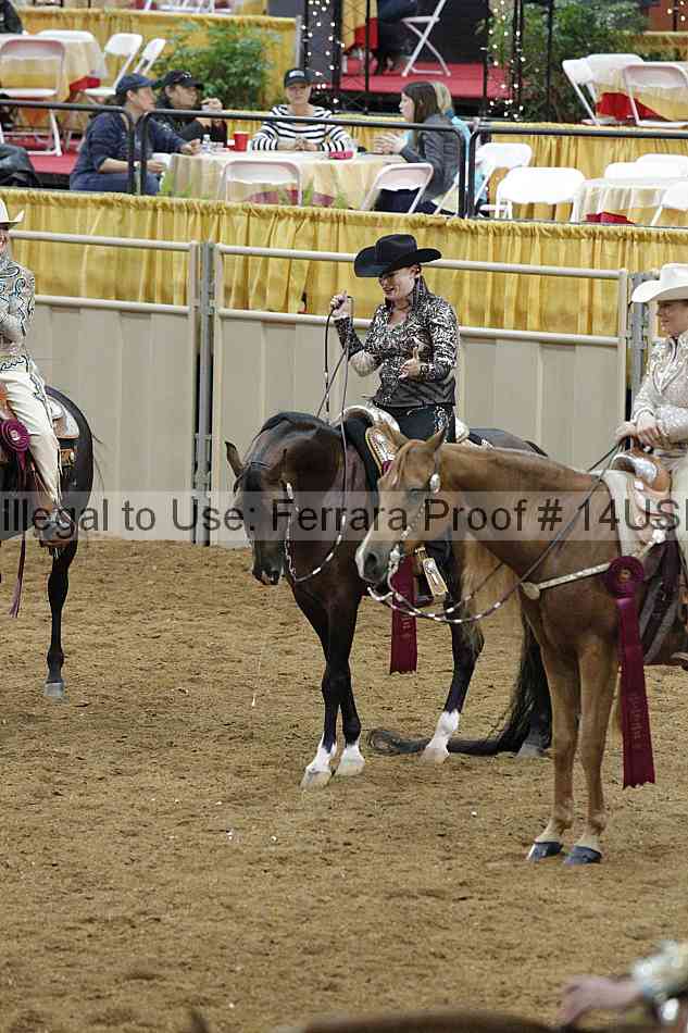 Proof 14usn_09375