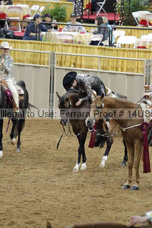 Proof 14usn_09376