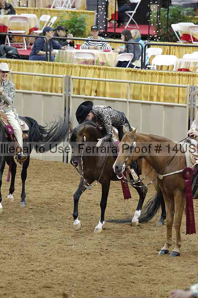 Proof 14usn_09377