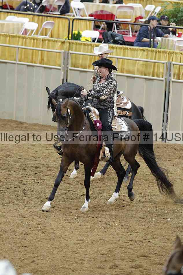 Proof 14usn_09379
