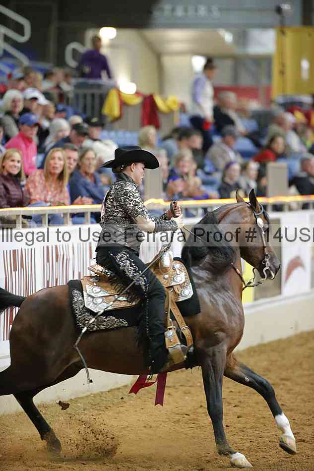 Proof 14usn_09394