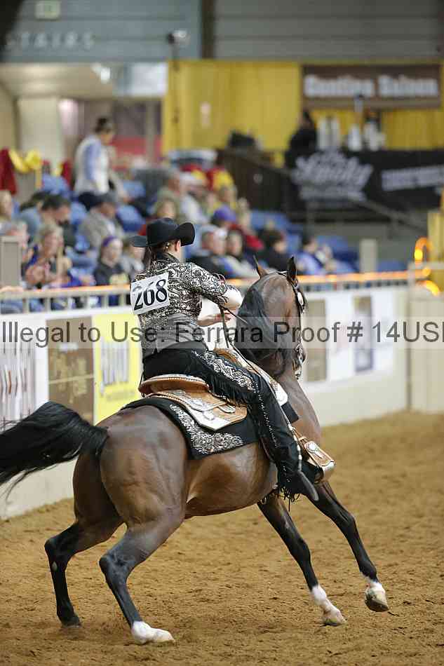 Proof 14usn_09395