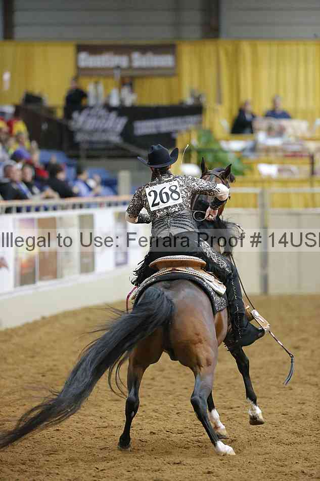 Proof 14usn_09396
