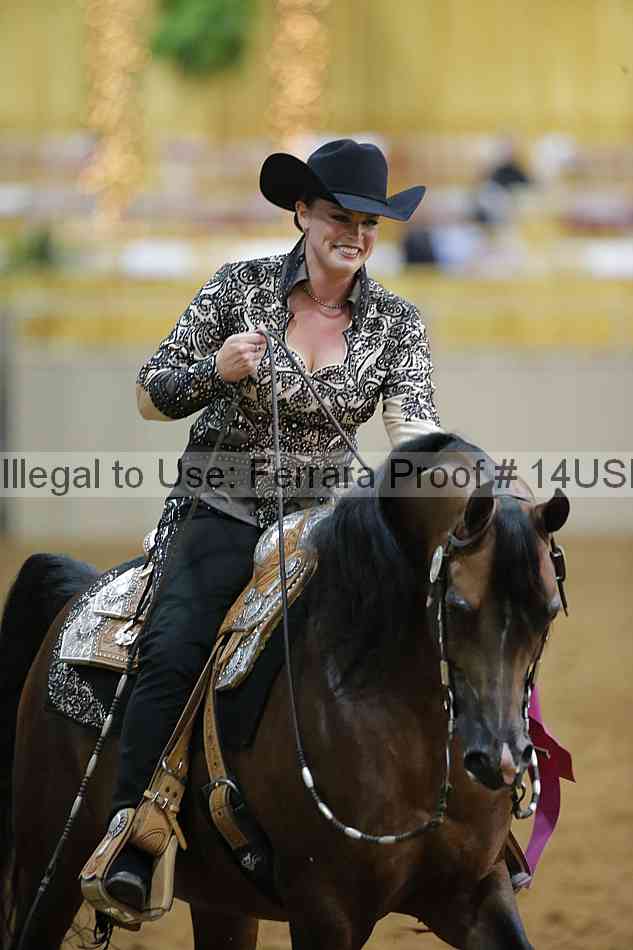 Proof 14usn_09405