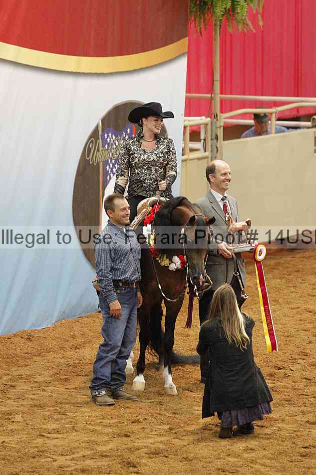 Proof 14usn_09429