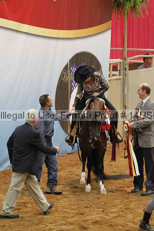 Proof 14usn_09431