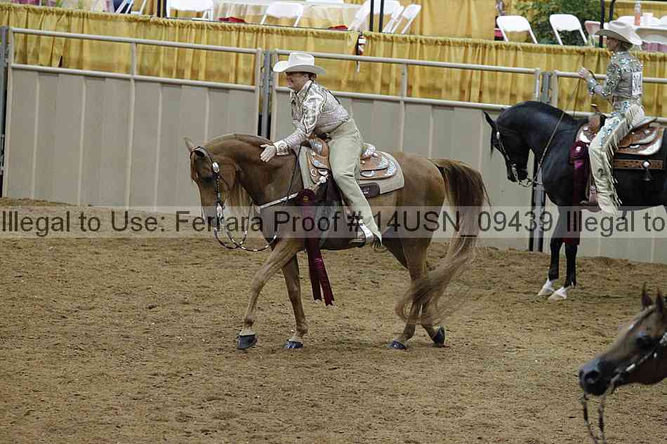 Proof 14usn_09439