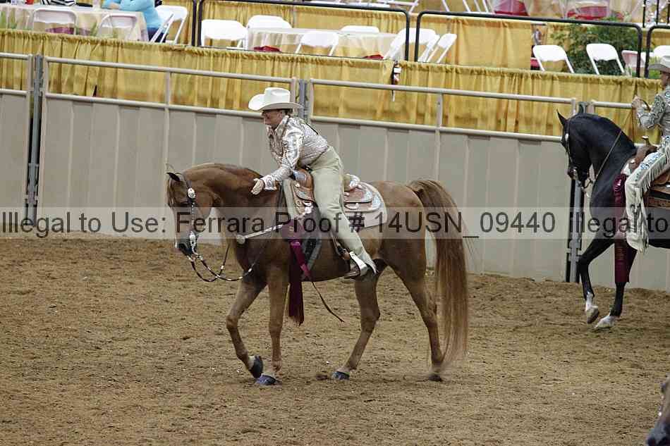 Proof 14usn_09440