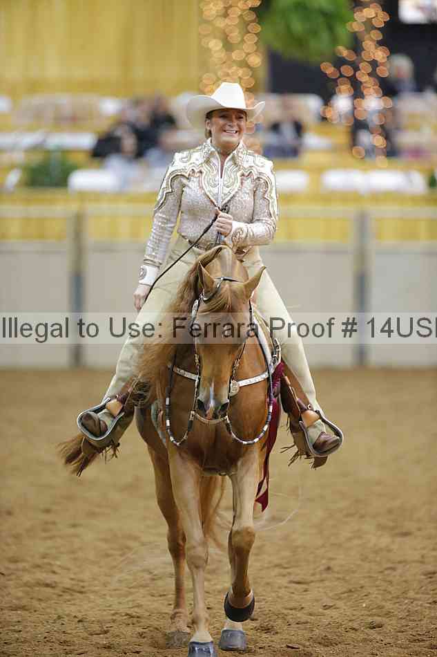 Proof 14usn_09442