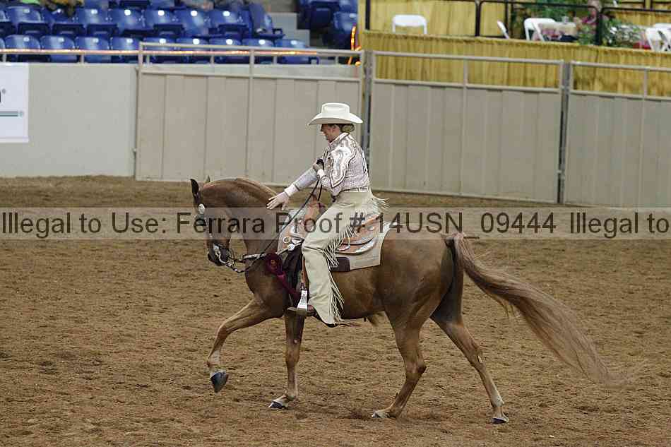 Proof 14usn_09444