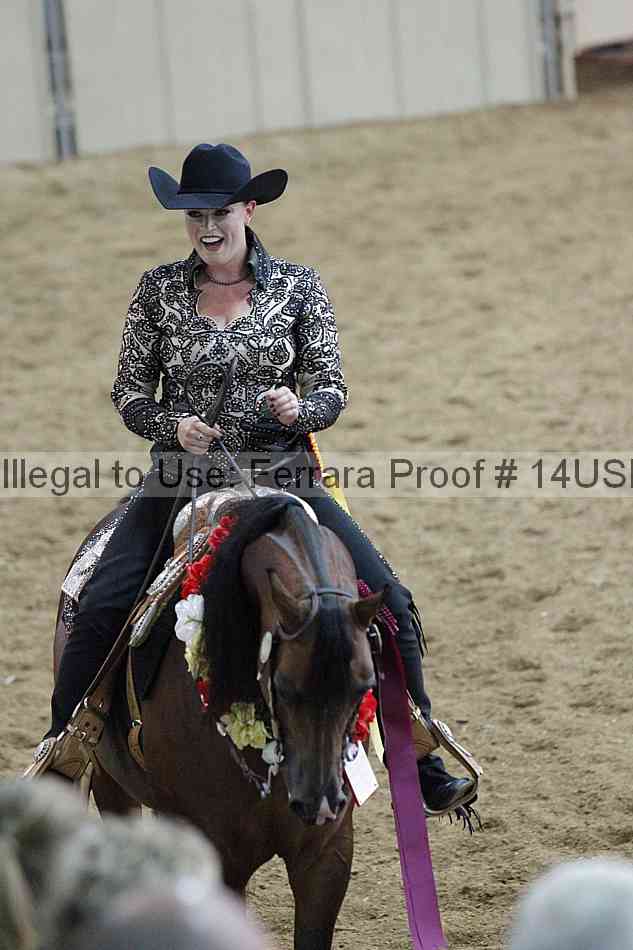 Proof 14usn_09447