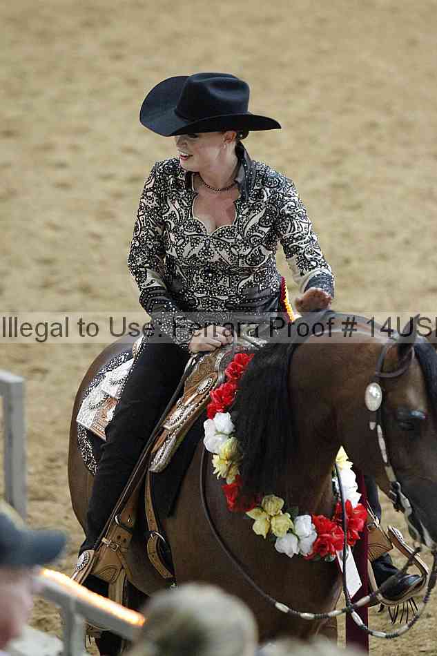 Proof 14usn_09451