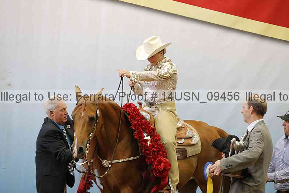 Proof 14usn_09456