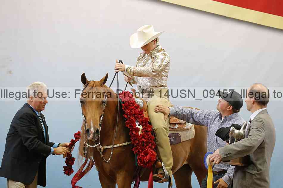 Proof 14usn_09457