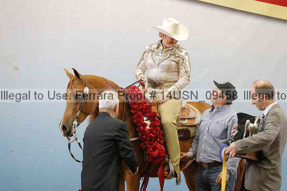 Proof 14usn_09458
