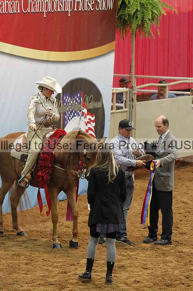 Proof 14usn_09462