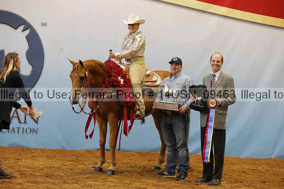 Proof 14usn_09463