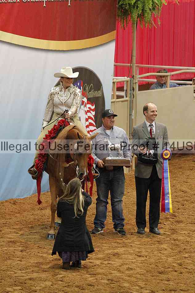 Proof 14usn_09465