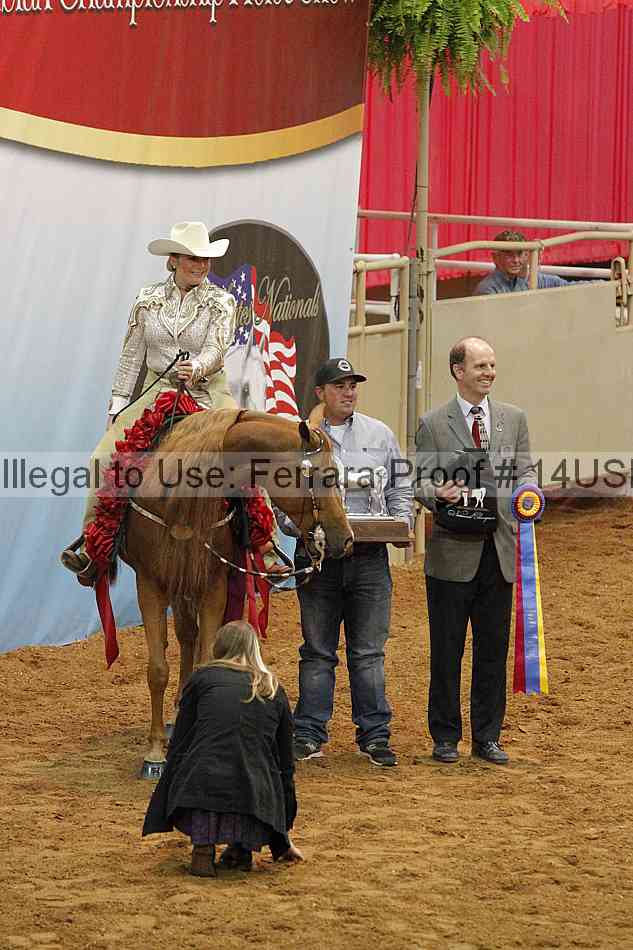 Proof 14usn_09466