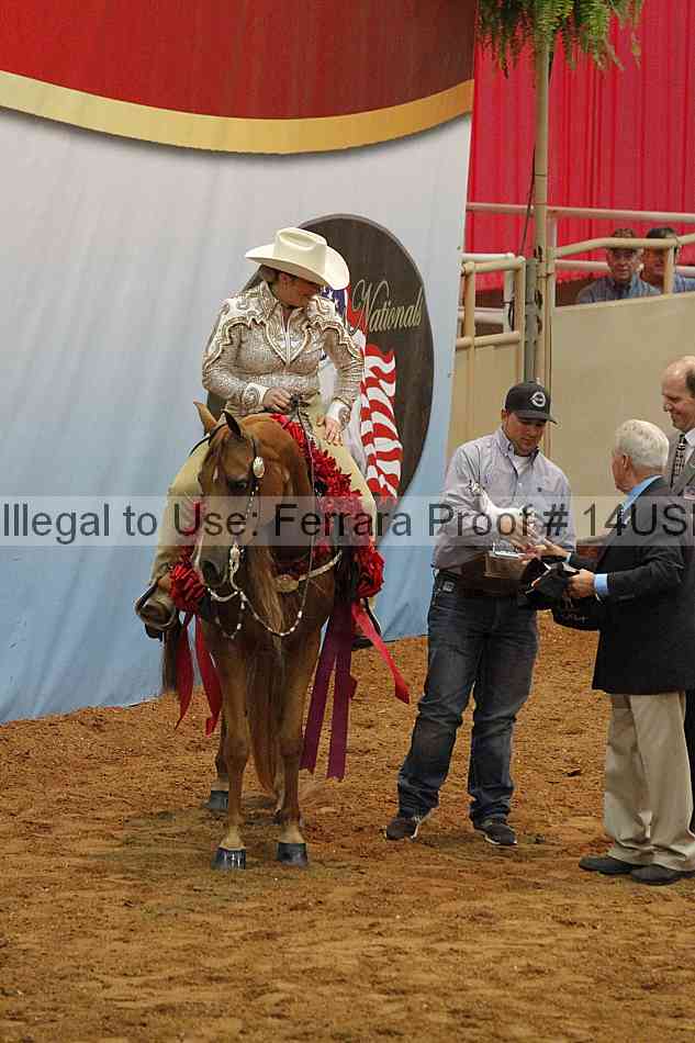 Proof 14usn_09468