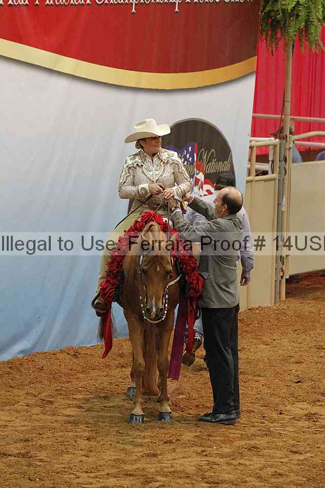Proof 14usn_09470