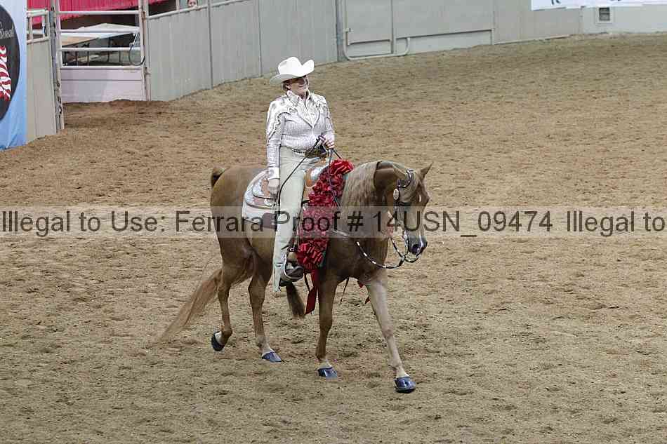 Proof 14usn_09474