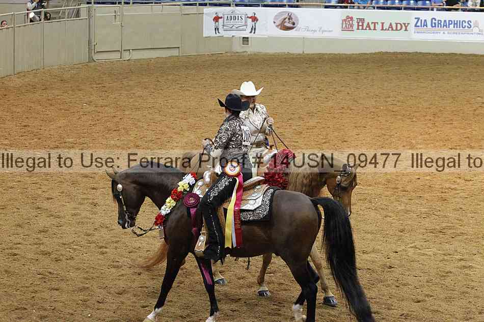 Proof 14usn_09477