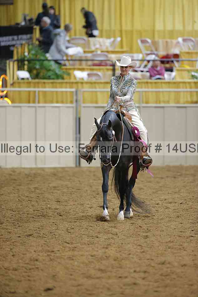 Proof 14usn_09478