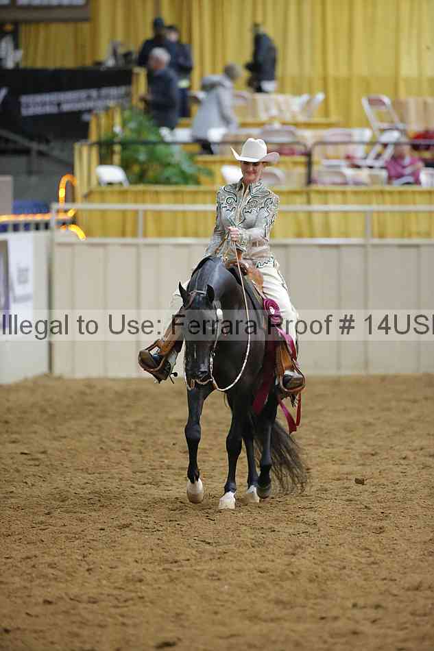 Proof 14usn_09482