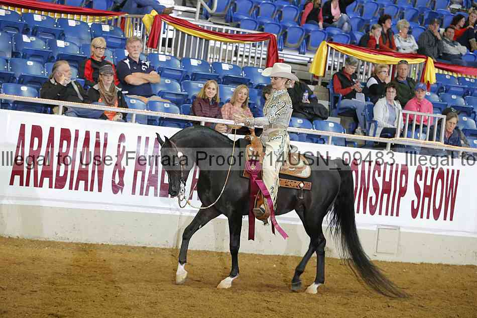 Proof 14usn_09483