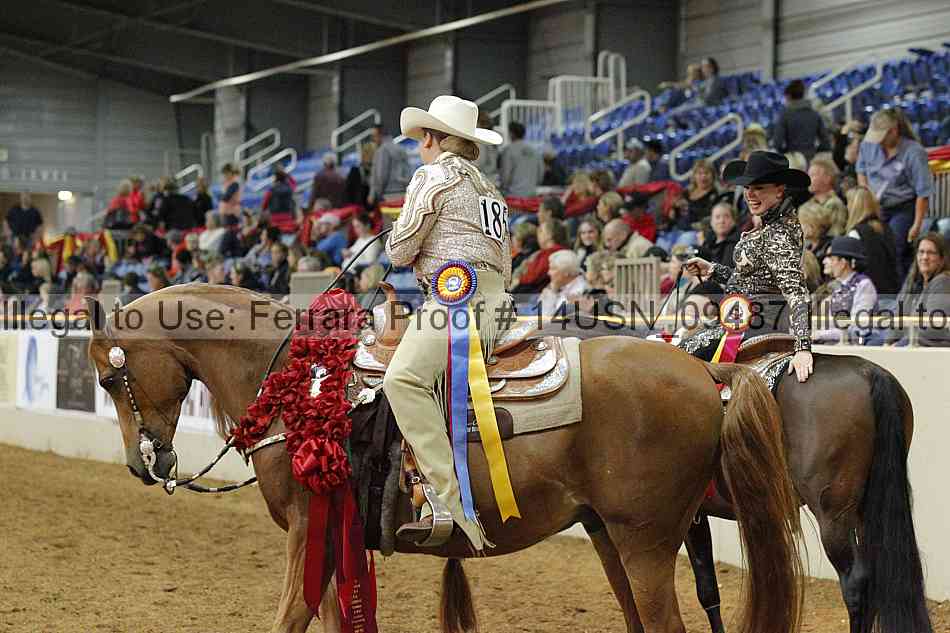 Proof 14usn_09487
