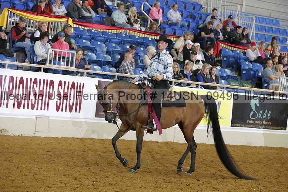 Proof 14usn_09496