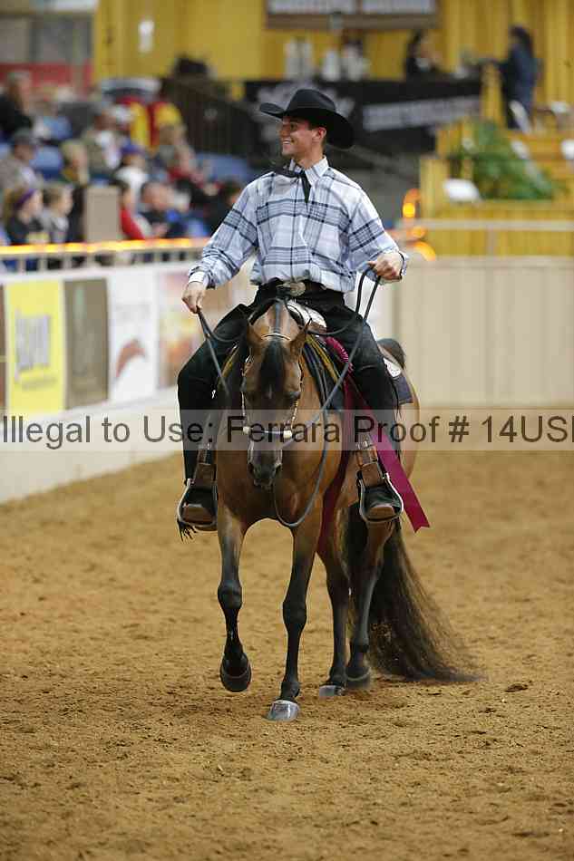 Proof 14usn_09497
