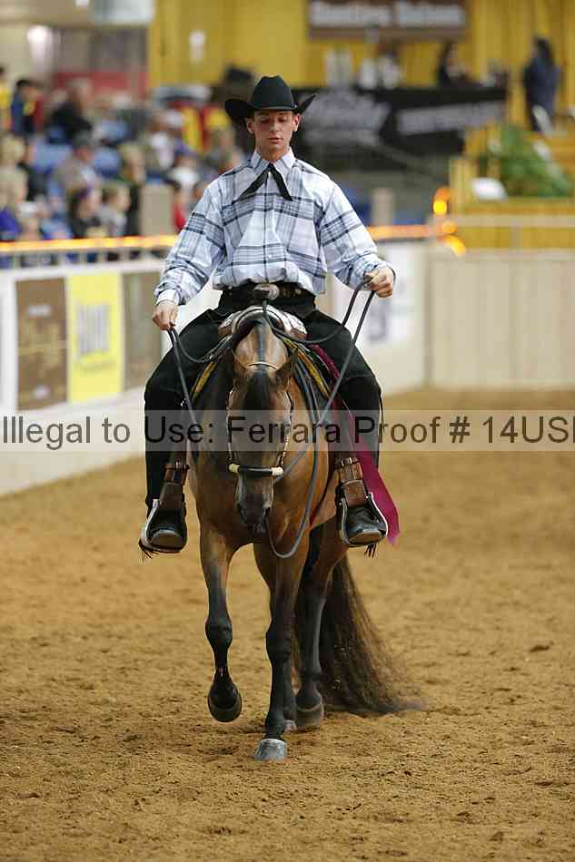 Proof 14usn_09502