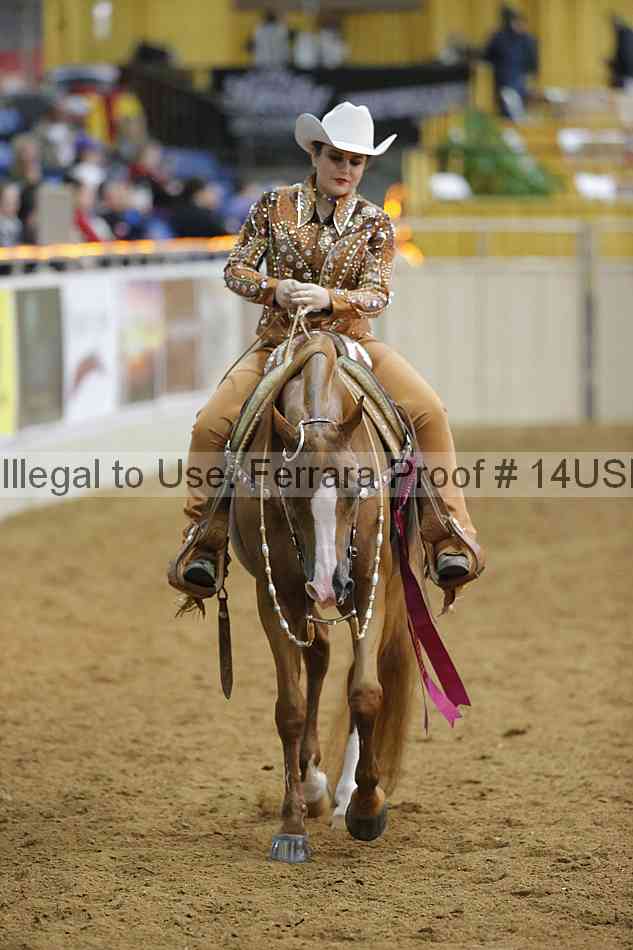 Proof 14usn_09507