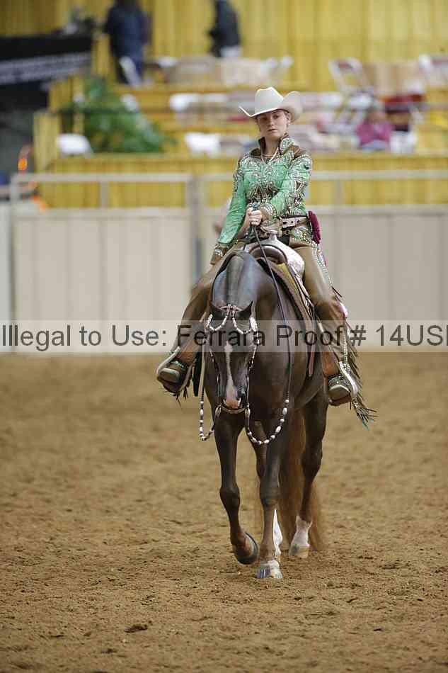 Proof 14usn_09511