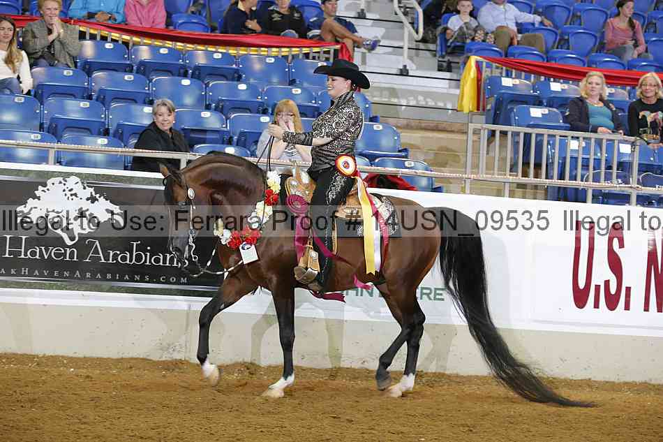 Proof 14usn_09535