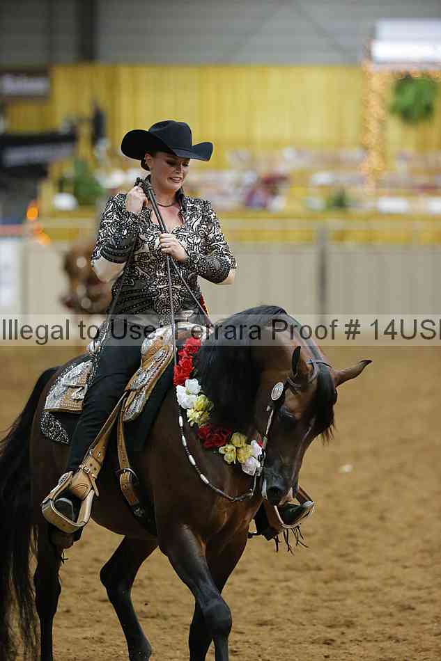 Proof 14usn_09536