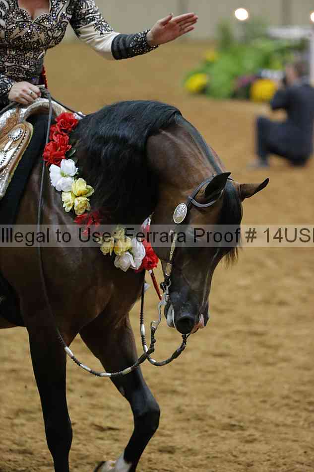 Proof 14usn_09537