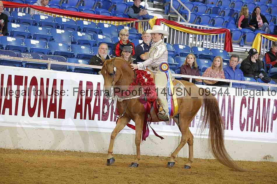 Proof 14usn_09544