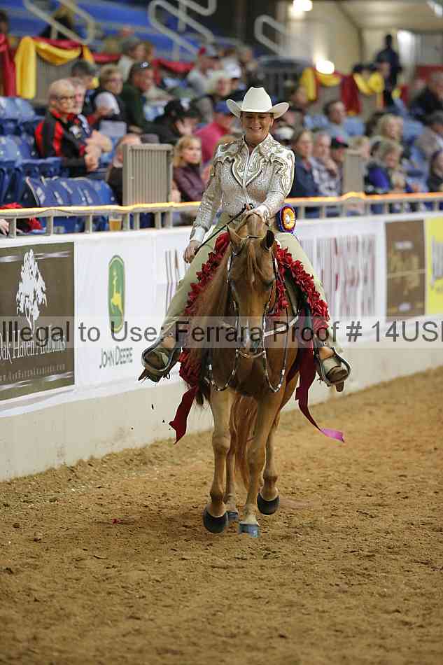 Proof 14usn_09546