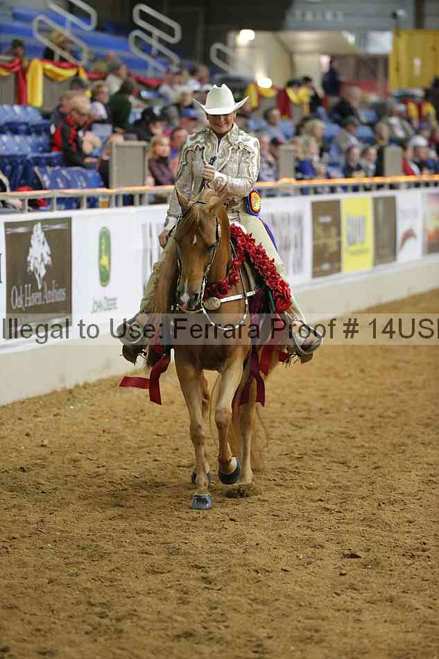 Proof 14usn_09553