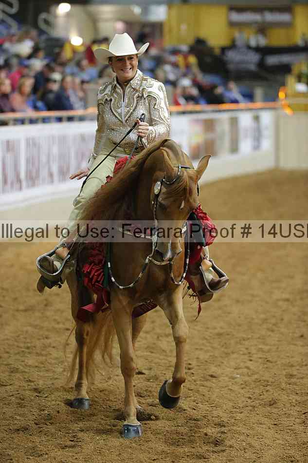 Proof 14usn_09556