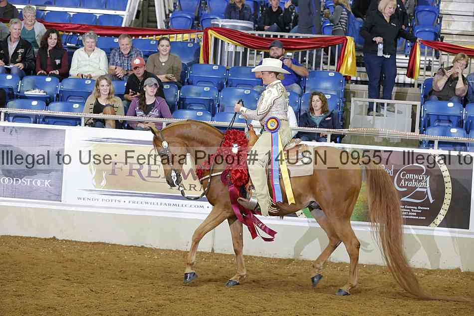 Proof 14usn_09557
