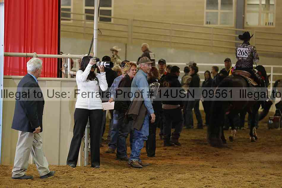 Proof 14usn_09561