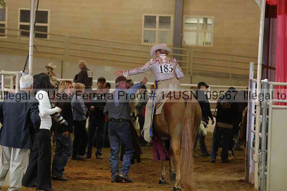 Proof 14usn_09567
